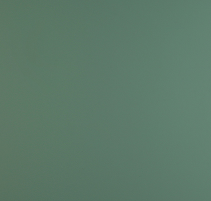 FENIX VERDE BRAC